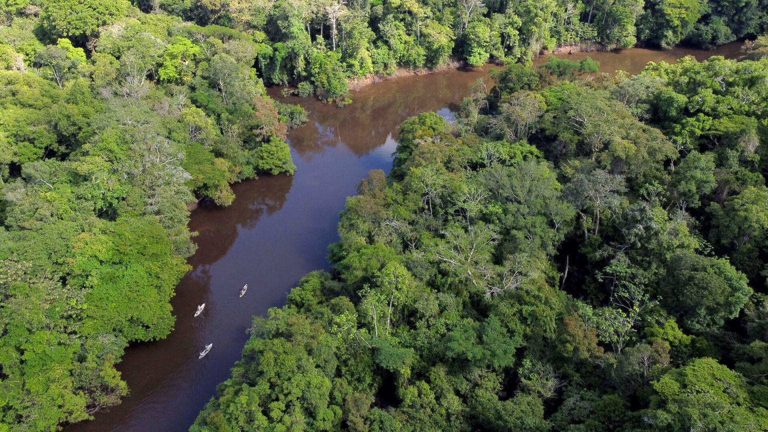 Amazonian Floating Jungle Lodge - The Legacy Untold